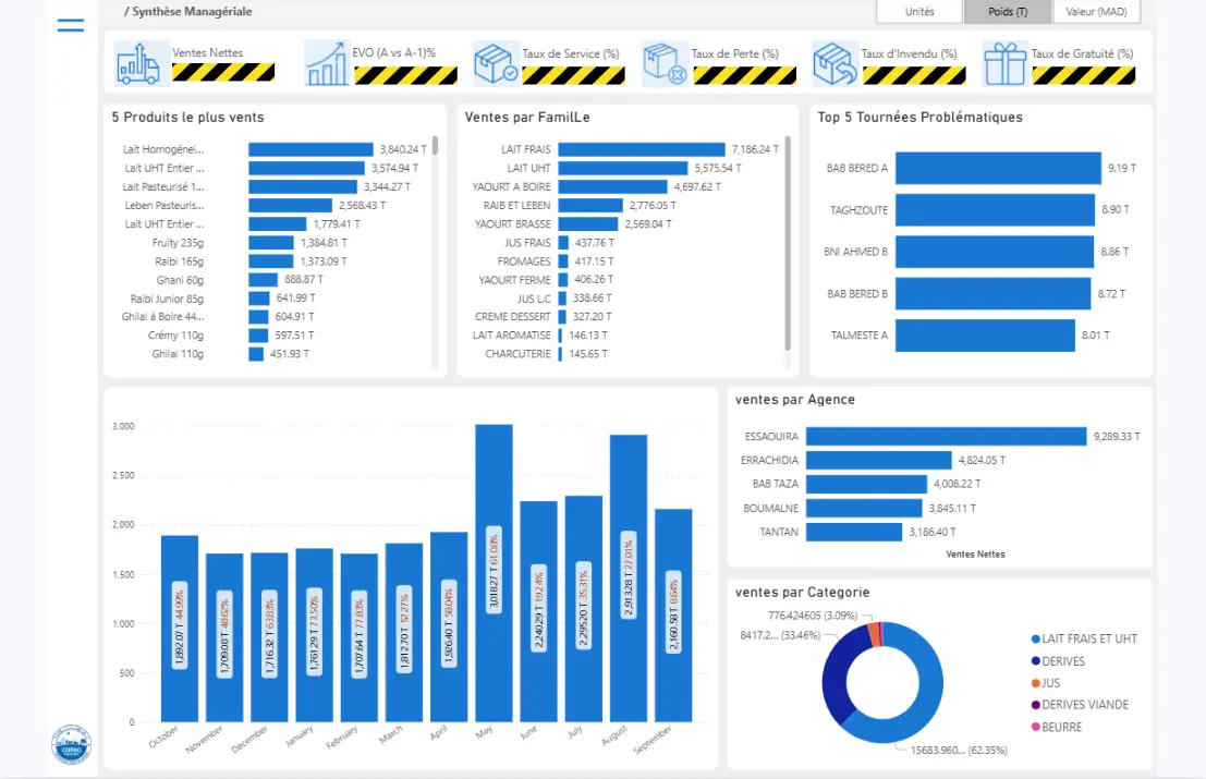 Preview of Copag Sales Dashboard project