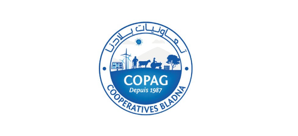 Data Engineer & BI Architect [COPAG]