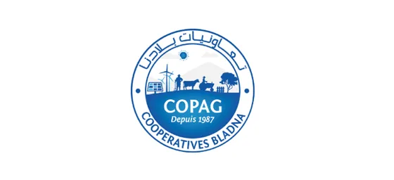 Ingénieur données et architecte BI [COPAG]