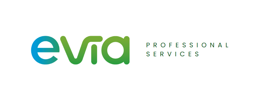 Digital Adoption Consultant [eVia Services]